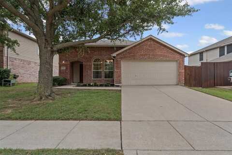 1213 Canvasback Drive, Aubrey, TX 76227