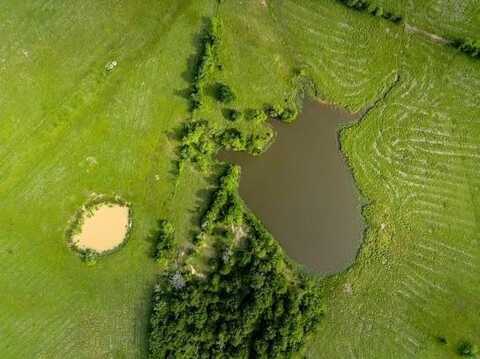 90+/- Acres Turner, Franklin, TX 77856