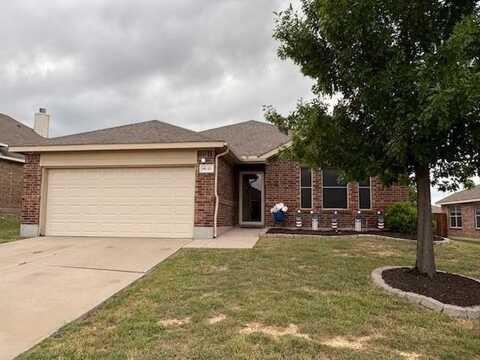 14121 Tanglebrush Trail, Fort Worth, TX 76052