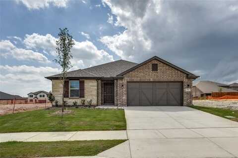 3916 Amethyst Drive, Celina, TX 75009