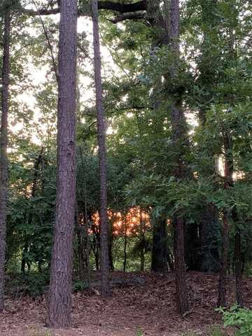 300301 Misty Glen Lane, Holly Lake Ranch, TX 75765