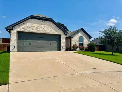 227 Jacinth Lane, Granbury, TX 76049