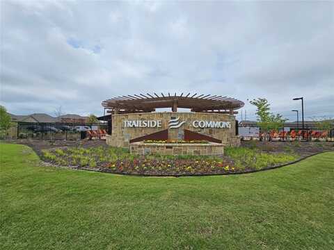 804 Serenity Sound Drive, Lavon, TX 75166