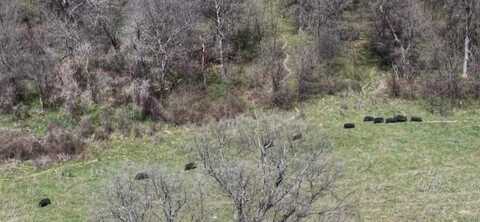 3141 Rogers Road, Jacksboro, TX 76458
