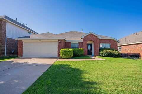 524 Richmond Park Lane, Fort Worth, TX 76140