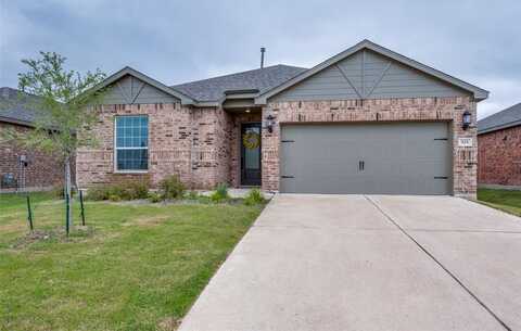 925 Emerson Drive, Anna, TX 75409