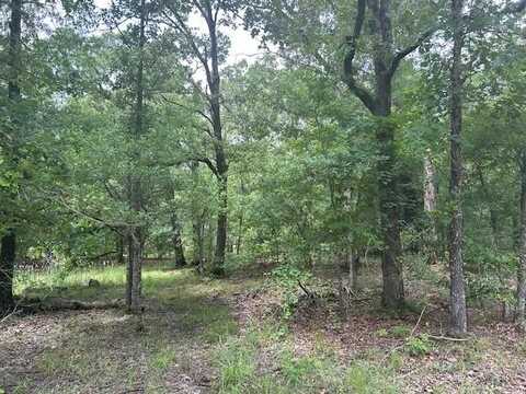 Tbs VZCR 1712, Grand Saline, TX 75140