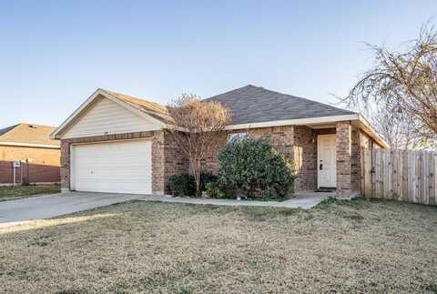 128 Ringneck Drive, Sanger, TX 76266