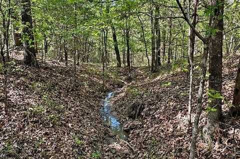 31.393 Acres Cty Rd 1792, Yantis, TX 75497
