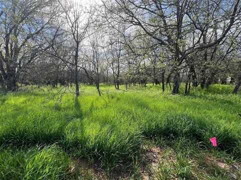 5521 Mercedes Circle, Granbury, TX 76048