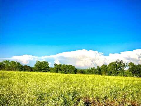 Tbd North Whitt Road, Whitt, TX 76490