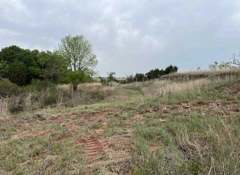 35 Ac Two Bush Rd, Perrin, TX 76486