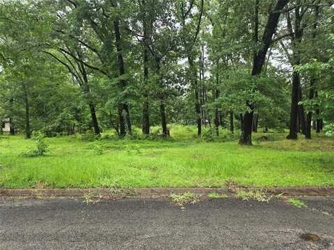 208 Mountain View Drive, Daingerfield, TX 75638