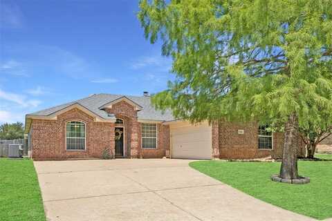 205 N Bending Oak Lane, Wylie, TX 75098