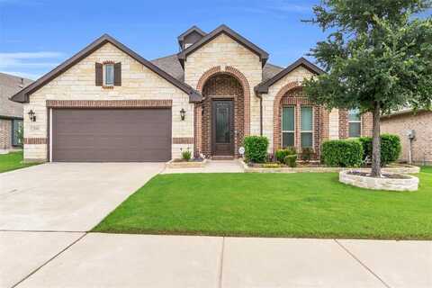 1209 Audubon, Little Elm, TX 75068