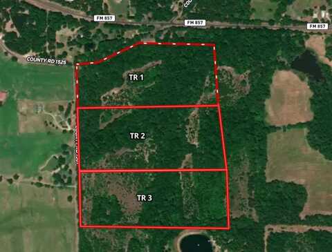 Tract 1 Tbd VZCR 1507, Grand Saline, TX 75140