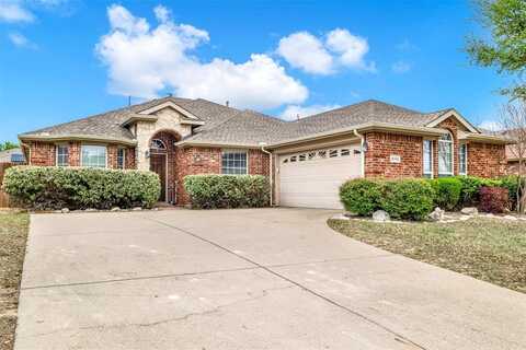15742 Bull Run Drive, Frisco, TX 75035