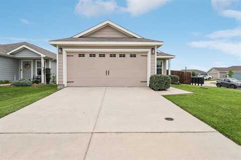 5431 Longshadow Drive, Princeton, TX 75407