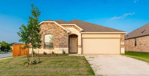2001 Ensor Drive, Little Elm, TX 75068