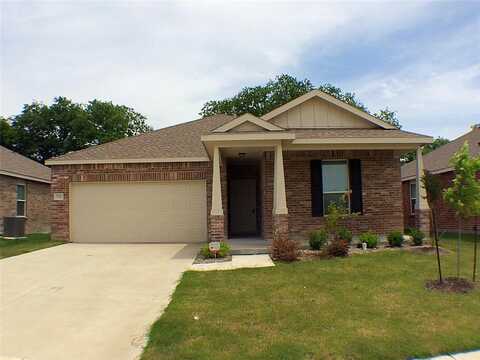 1721 Megan Creek Drive, Little Elm, TX 75068