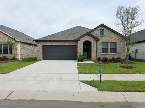 712 Roanoke Drive, Princeton, TX 75407