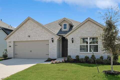 1309 Renato Drive, Anna, TX 75409
