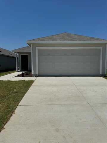 826 pawpaw Drive, Princeton, TX 75407