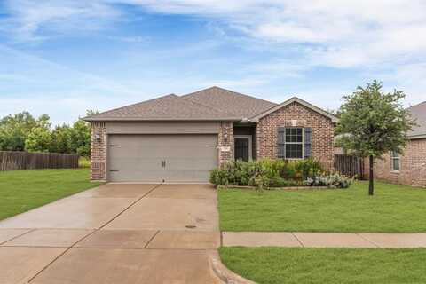 161 Collin Street, Anna, TX 75409