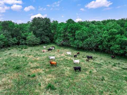 66.682 Acres County Road 2190, Commerce, TX 75428