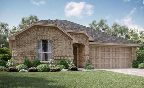 1119 Sassafras Drive, Princeton, TX 75407