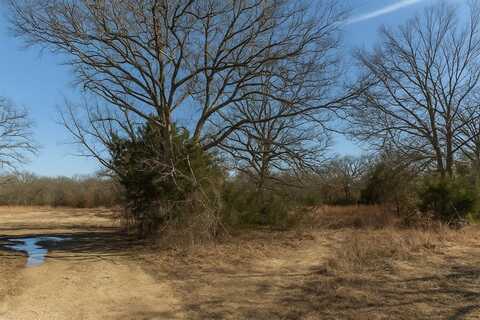 000 Evelyn Street, Cove, TX 75474