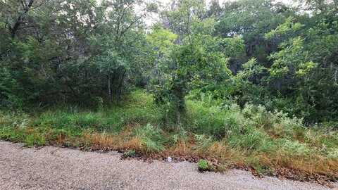 839 E Aquarius Court, Granbury, TX 76049