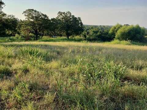 787 Greenwood Lane, Forestburg, TX 76239