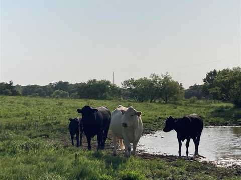 0 Tbd Hcr 1414, Covington, TX 76636