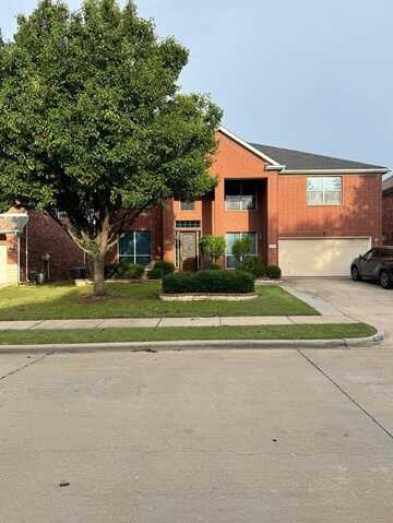 4919 Marsh Harrier Avenue, Grand Prairie, TX 75052