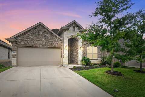 1032 Pitch Pine Street, Hickory Creek, TX 75065