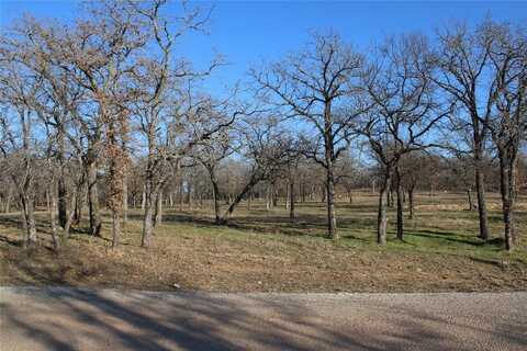 116 Jim Walters Drive, Runaway Bay, TX 76426