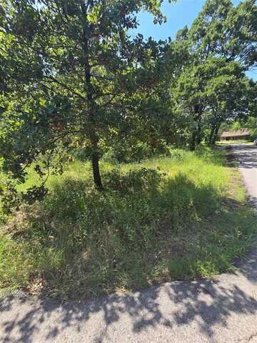 0 Nina Street, Payne Springs, TX 75156