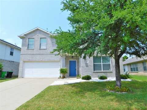 1107 Mockingbird Drive, Aubrey, TX 76227