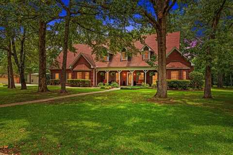 415 Timber Lakes Drive, Powderly, TX 75473