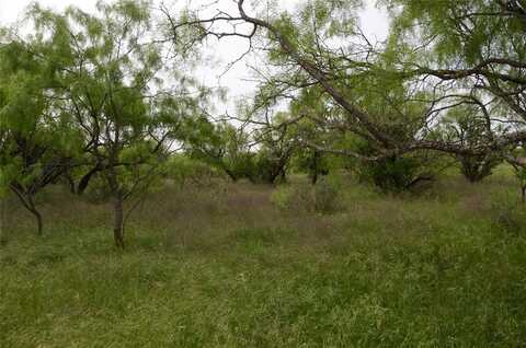 Tbd CR 112, Clyde, TX 79504