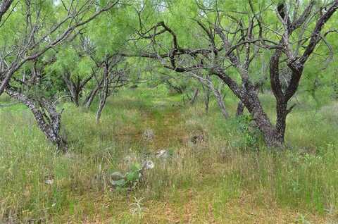 Tbd CR 119, Clyde, TX 79504