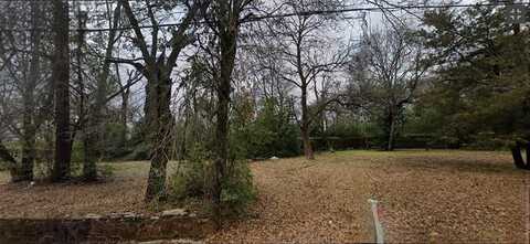1303 W Lollar Street, Tyler, TX 75702