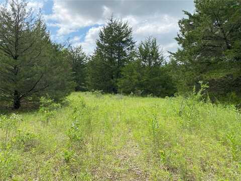 00 Rs County Road 1605, East Tawakoni, TX 75472