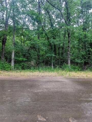 0 Harris Boulevard, Malakoff, TX 75148