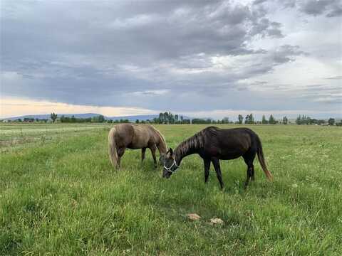 TBD Road 12 1/2, Lovell, WY 82431
