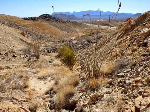 23791 FM 170, Terlingua, TX 79852