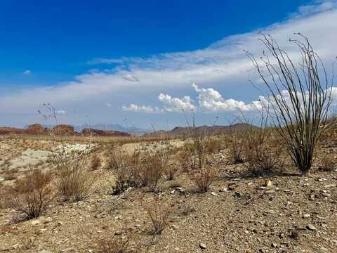 TR 241 S Hwy 118, Terlingua, TX 79852