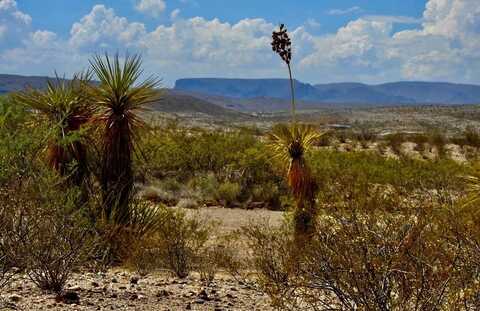 3615 Marathon, Terlingua, TX 79852