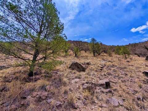 109 Gun Club, Fort Davis, TX 79734